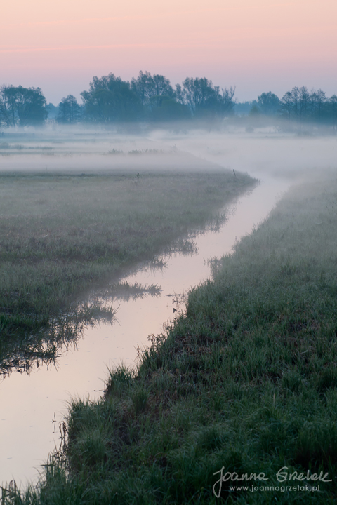 006_Biebrza - kwiecien 2012.jpg